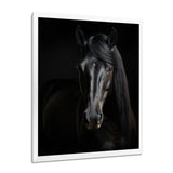 Portrait Of A Gracious Black Horse - Black Horse Wall Art