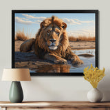 Lion Resting By The Water Pool - Lion Wall Art Prints