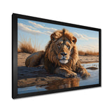 Lion Resting By The Water Pool - Lion Wall Art Prints