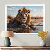 Lion Resting By The Water Pool - Lion Wall Art Prints