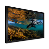 Orca Swimming In Blue Lagoon - Black Coastal Animal Wall Art