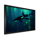 Deep Ocean Orka God Rays - Black Coastal Animal Wall Art