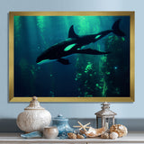 Deep Ocean Orka God Rays - Black Coastal Animal Wall Art