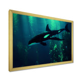 Deep Ocean Orka God Rays - Black Coastal Animal Wall Art