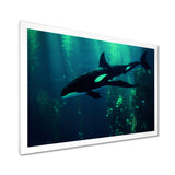 Deep Ocean Orka God Rays - Black Coastal Animal Wall Art