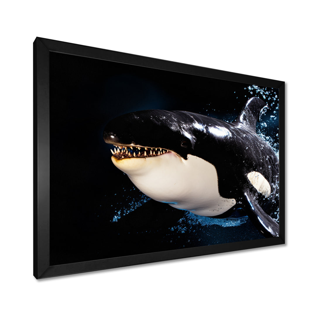 Smiling Deep Sea Orka - Coastal Animal Large Canvas Wall Art