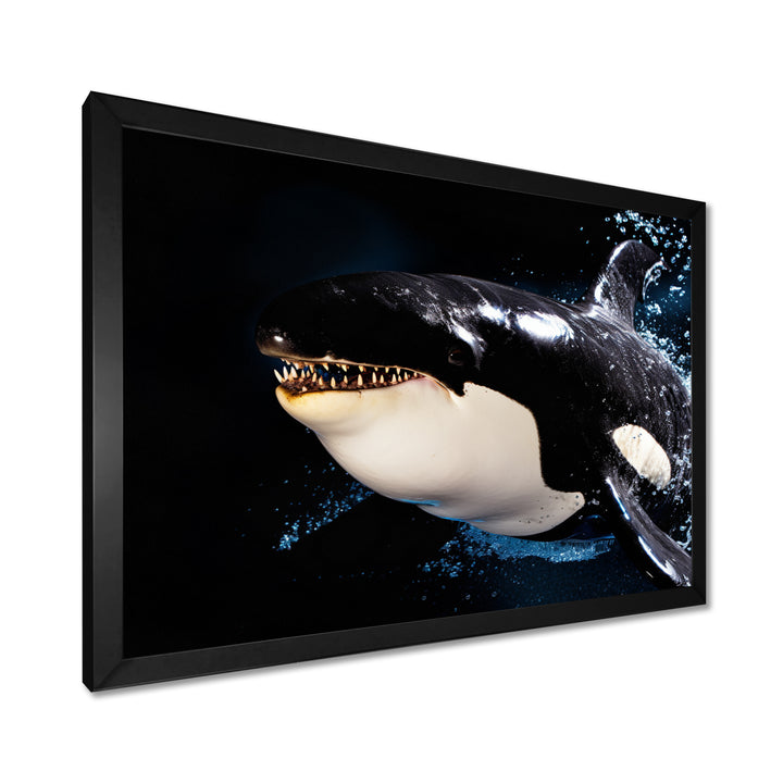 Smiling Deep Sea Orka - Coastal Animal Large Canvas Wall Art