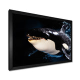 Smiling Deep Sea Orka - Coastal Animal Large Canvas Wall Art