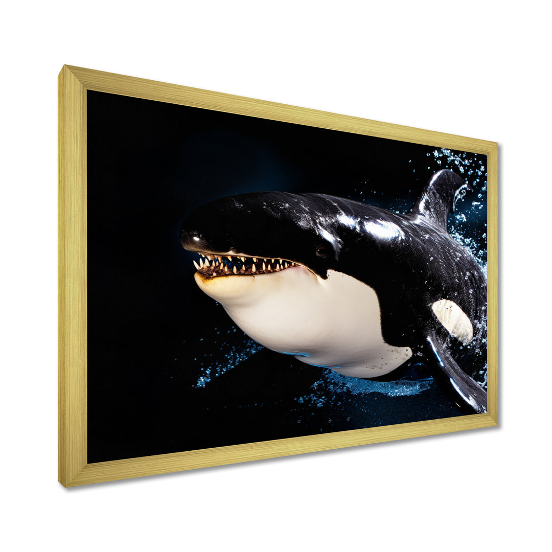 Smiling Deep Sea Orka - Coastal Animal Large Canvas Wall Art