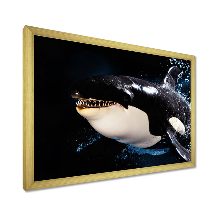 Smiling Deep Sea Orka - Coastal Animal Large Canvas Wall Art