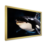 Smiling Deep Sea Orka - Coastal Animal Large Canvas Wall Art