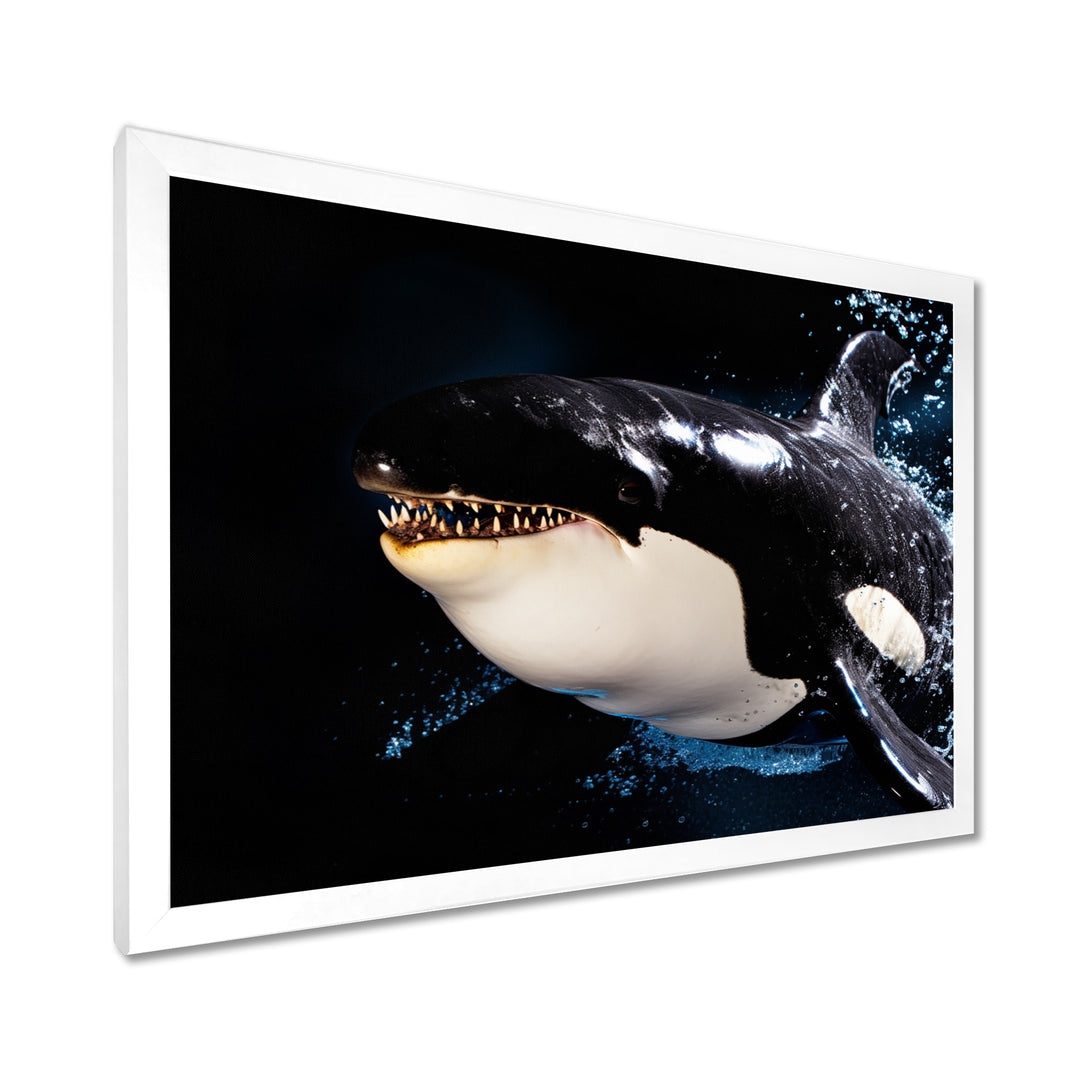 Smiling Deep Sea Orka - Coastal Animal Large Canvas Wall Art