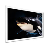 Smiling Deep Sea Orka - Coastal Animal Large Canvas Wall Art