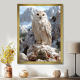 Majestic White Snow Owl In The Mountains - Owl Wall Art Prints