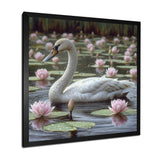 White Swan In Pond Blossoming Pink Lotus - Swans Canvas Wall Art
