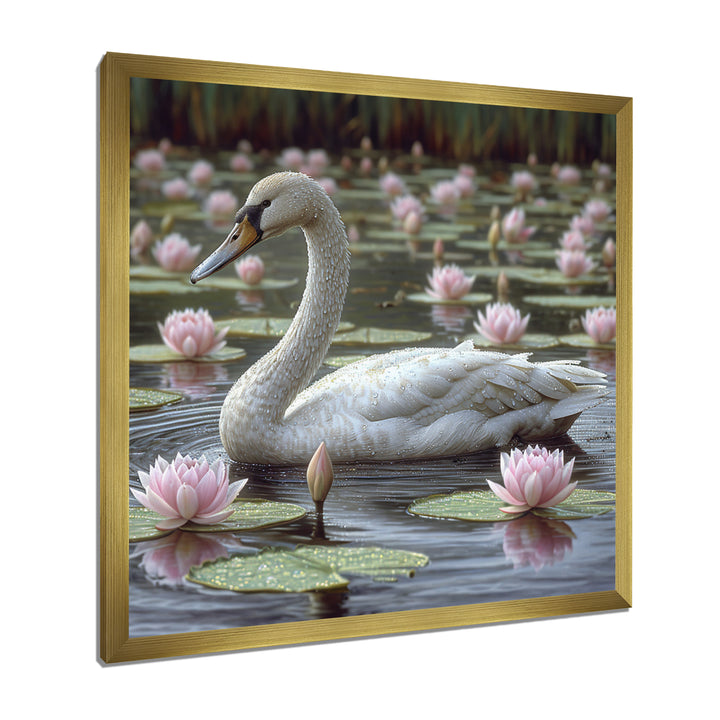 White Swan In Pond Blossoming Pink Lotus - Swans Canvas Wall Art