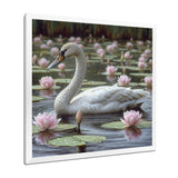 White Swan In Pond Blossoming Pink Lotus - Swans Canvas Wall Art
