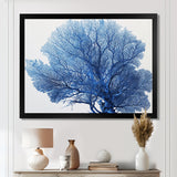 Detailed Blue Coral On White Retro Illustration - Coral Wall Decor