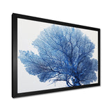 Detailed Blue Coral On White Retro Illustration - Coral Wall Decor