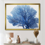 Detailed Blue Coral On White Retro Illustration - Coral Wall Decor