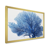 Detailed Blue Coral On White Retro Illustration - Coral Wall Decor