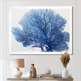 Detailed Blue Coral On White Retro Illustration - Coral Wall Decor
