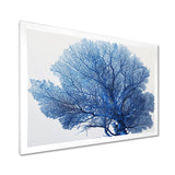 Detailed Blue Coral On White Retro Illustration - Coral Wall Decor