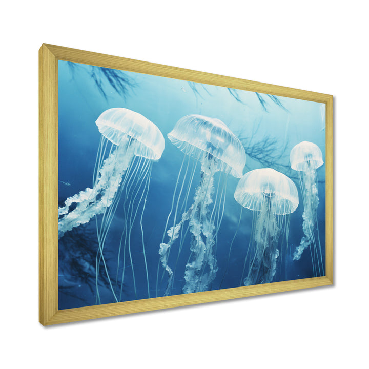 Four White Jellyfish Floating To The Ocean Surface Sunlight - Blue Jellyfish Wall Art