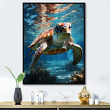 Turtle Aquatic Wanderer in Ocean - Turtle Home Decor Art