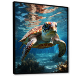 Turtle Aquatic Wanderer in Ocean - Turtle Home Decor Art