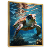 Turtle Aquatic Wanderer in Ocean - Turtle Home Decor Art