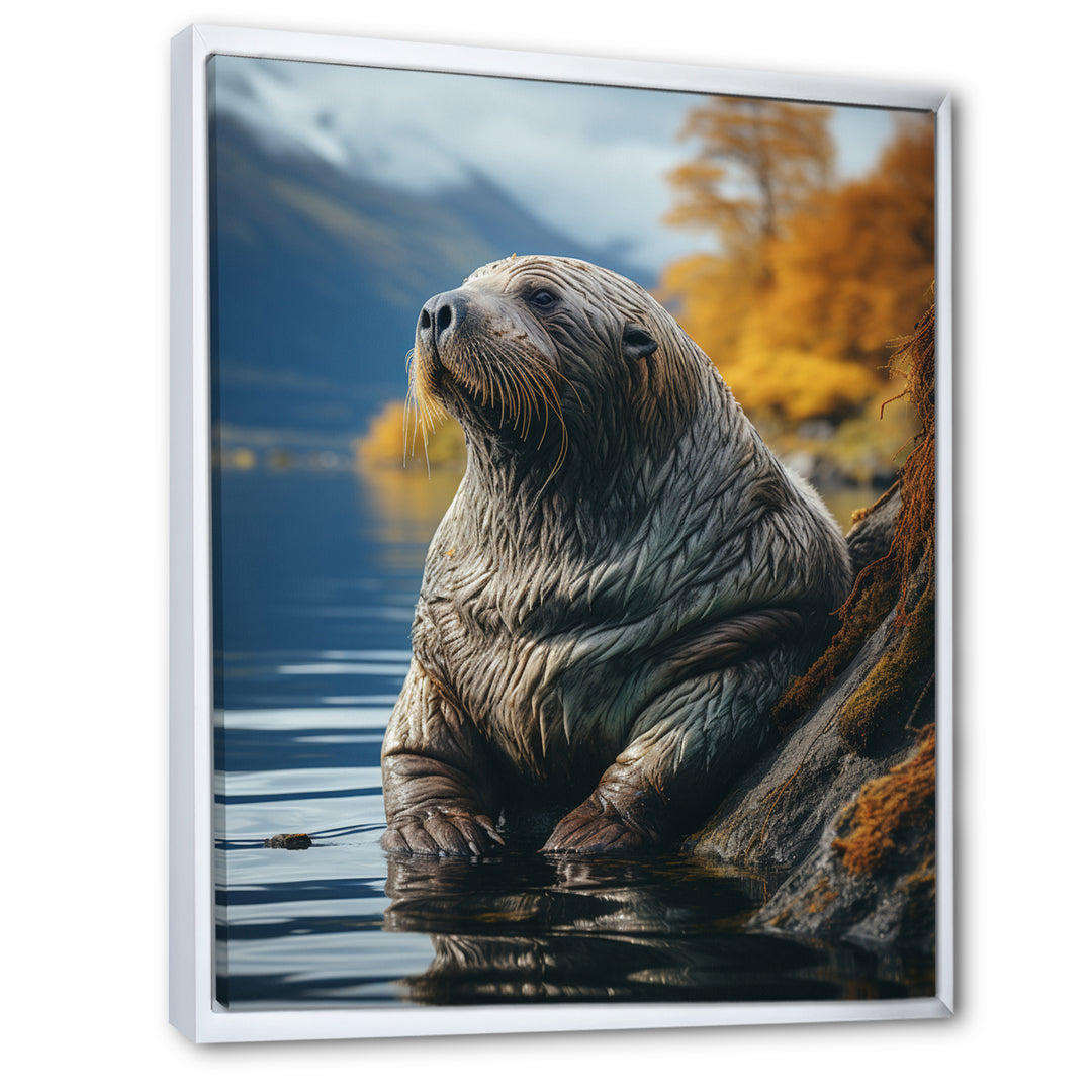 Walrus Coastal Reflections - Walrus Wall Decor