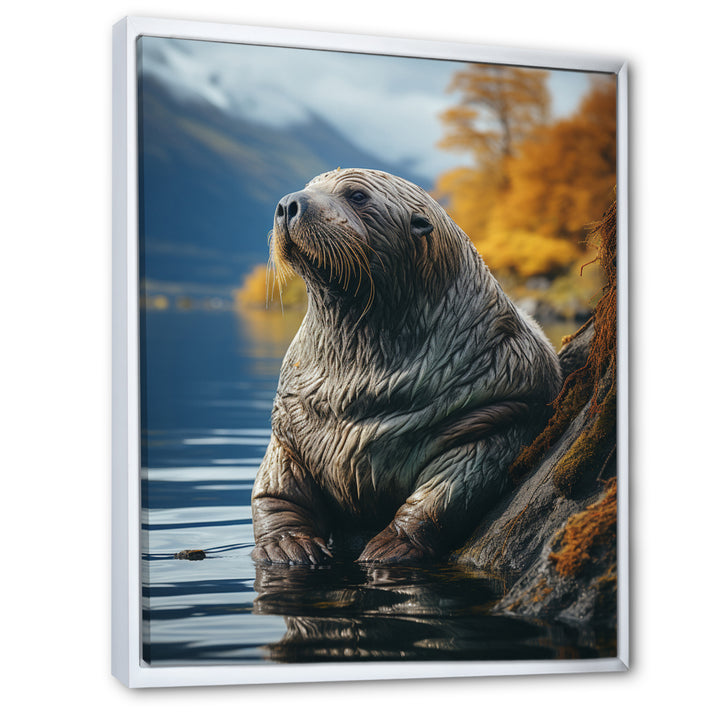 Walrus Coastal Reflections - Walrus Wall Decor