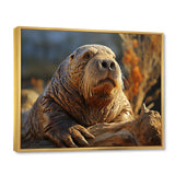 Walrus Golden Tusks - Walrus Wall Decor