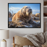 Walrus Tundra King - Walrus Home Decor Art