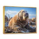 Walrus Tundra King - Walrus Home Decor Art