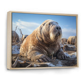 Walrus Tundra King - Walrus Home Decor Art