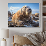 Walrus Tundra King - Walrus Home Decor Art