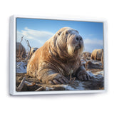 Walrus Tundra King - Walrus Home Decor Art