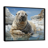 Walrus Wonder - Walrus Living Room Wall Art