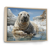 Walrus Wonder - Walrus Living Room Wall Art