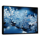 Glimmering Snowflakes II - Landscapes Canvas Wall Art