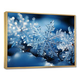 Glimmering Snowflakes II - Landscapes Canvas Wall Art