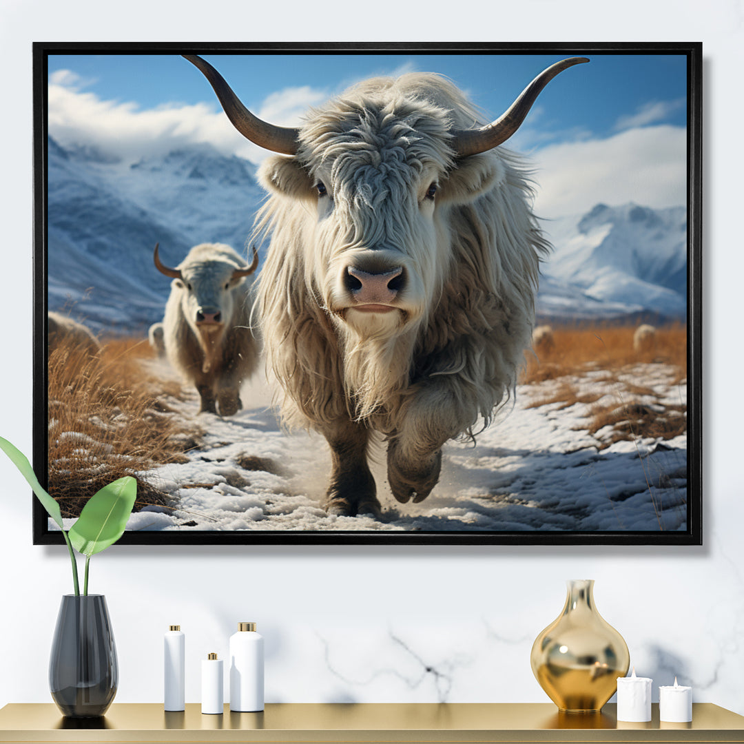 Yaks Majestic In Winter - Yaks Wall Art Prints