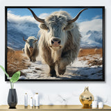 Yaks Majestic In Winter - Yaks Wall Art Prints