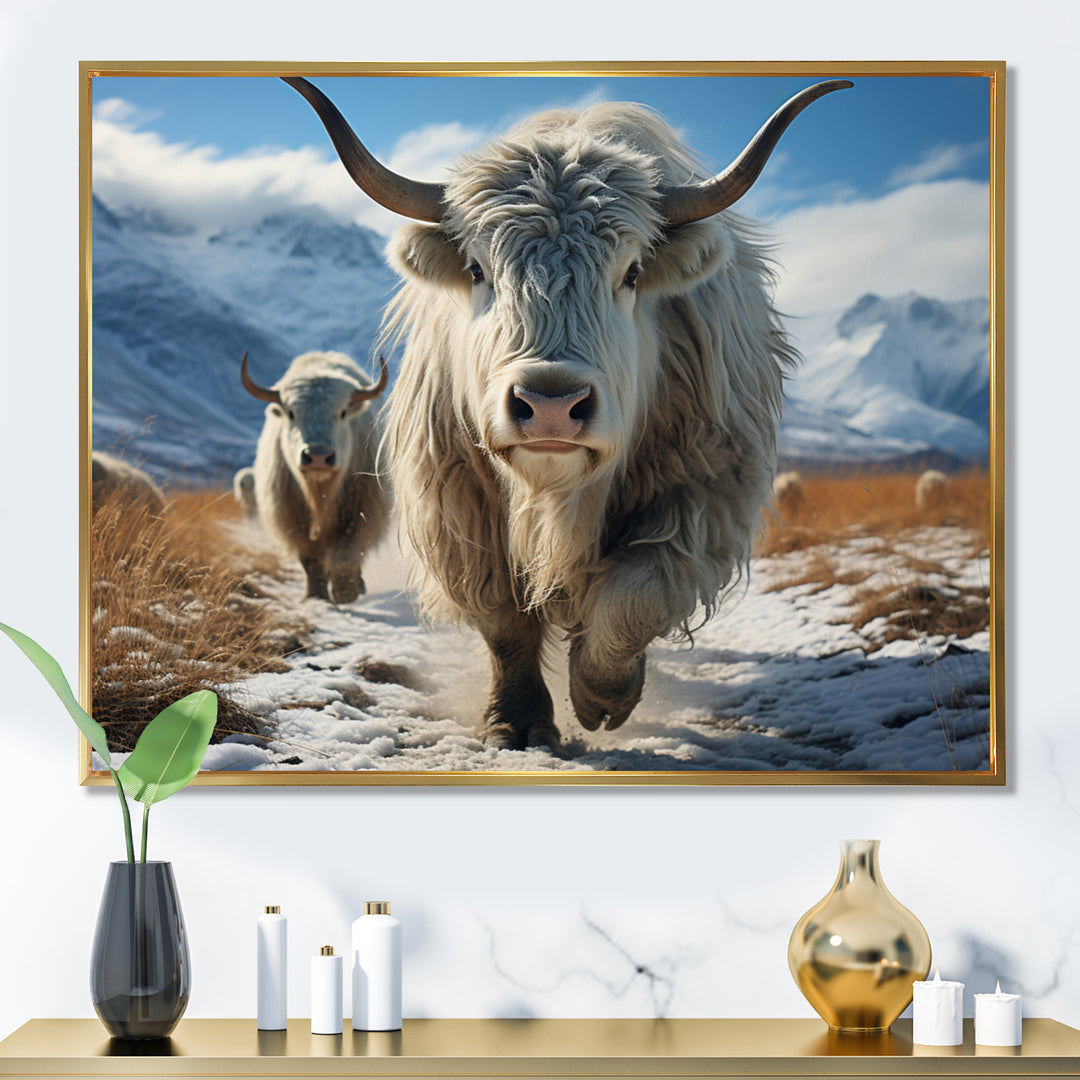 Yaks Majestic In Winter - Yaks Wall Art Prints