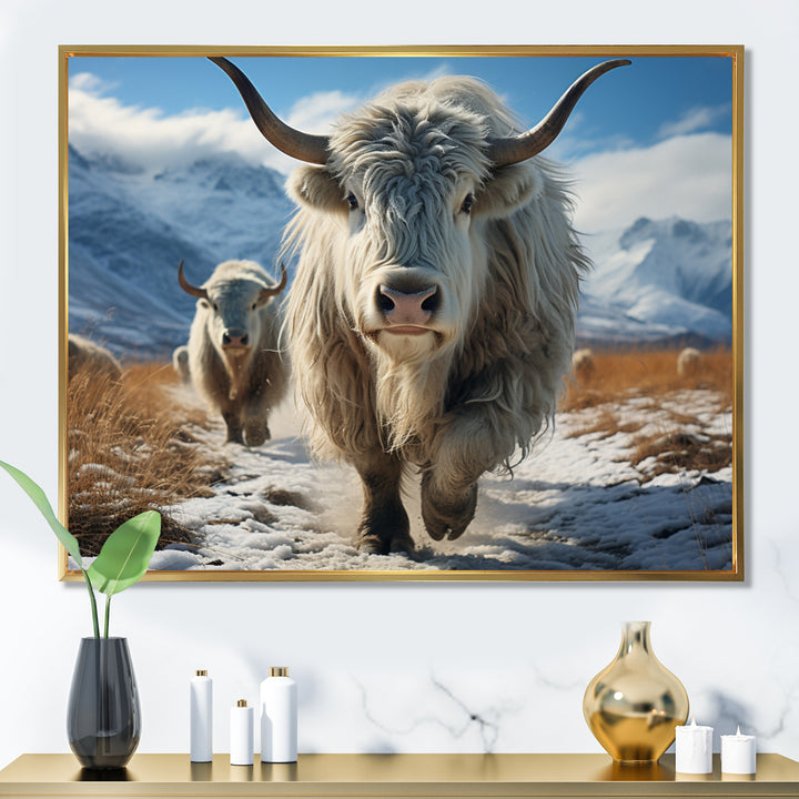 Yaks Majestic In Winter - Yaks Wall Art Prints