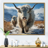 Yaks Majestic In Winter - Yaks Wall Art Prints
