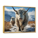 Yaks Majestic In Winter - Yaks Wall Art Prints