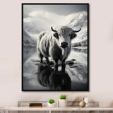 Yaks Serenade Of The Peak - Gray Yaks Wall Art